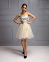 Glamorous, Elegant Tulle Dress, High-End Women's Fashion, Designer Gowns, Sophisticated Evening wear