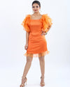 Women wearing Organza Dress, Dresses, Organza Dress, for Women Party Dress, Women Clothing, Women Wear House Of Majisha