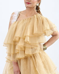 Women wearing Organza Dress, Dresses, Organza Dress, for Women Party Dress, Women Clothing, Women Wear House Of Majisha