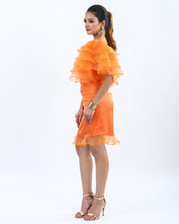 Women wearing Organza Dress, Dresses, Organza Dress, for Women Party Dress, Women Clothing, Women Wear House Of Majisha