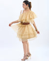 Women wearing Organza Dress, Dresses, Organza Dress, for Women Party Dress, Women Clothing, Women Wear House Of Majisha